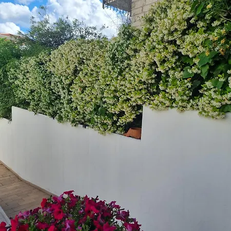 Relaxing And Comforting * Olbia