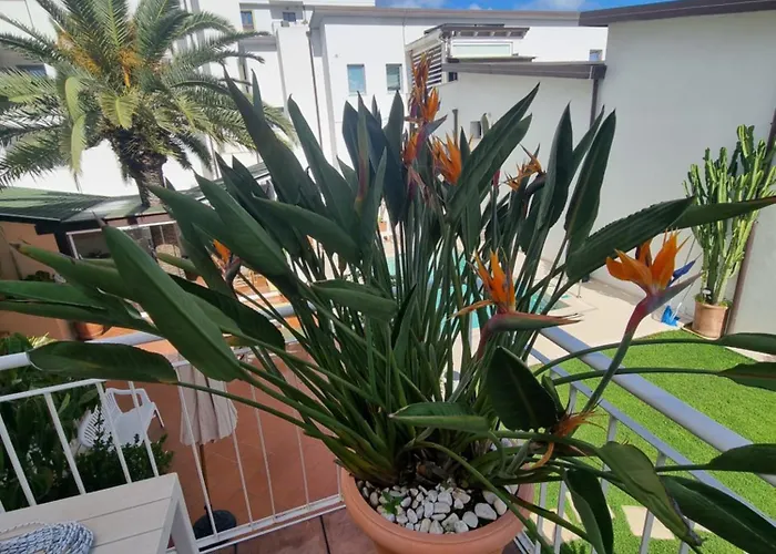 Holiday home Relaxing And Comforting Olbia