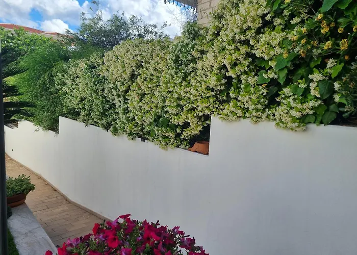 Relaxing And Comforting * Olbia